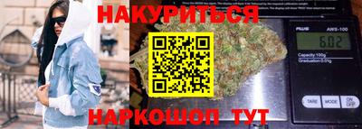 сатива Будённовск
