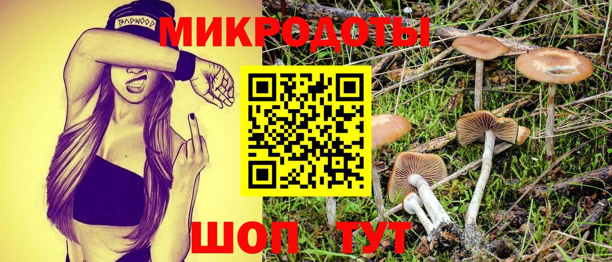 Псилоцибиновые грибы прущие грибы Великий Устюг